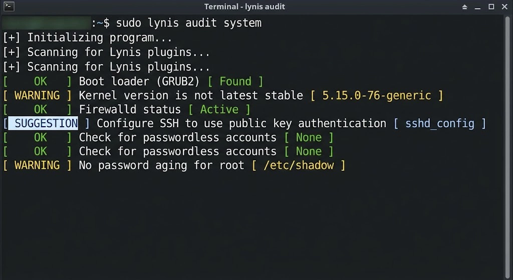 Running a security audit on a hardened Ubuntu VPS server